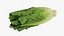 3D Romaine Lettuce Collection