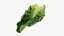 3D Romaine Lettuce Collection