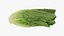 3D Romaine Lettuce Collection