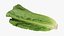 3D Romaine Lettuce Collection