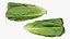 3D Romaine Lettuce Collection