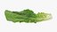 3D Romaine Lettuce Collection