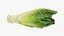 3D Romaine Lettuce Collection