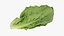 3D Romaine Lettuce Collection