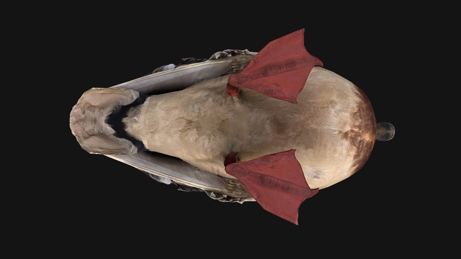 3D Duck Pack https://p.turbosquid.com/ts-thumb/If/MiFnwT/6s/duckstandart16/png/1685006690/1920x1080/fit_q87/945eabea450a90094d59b0a2707253ec80366cc2/duckstandart16.jpg