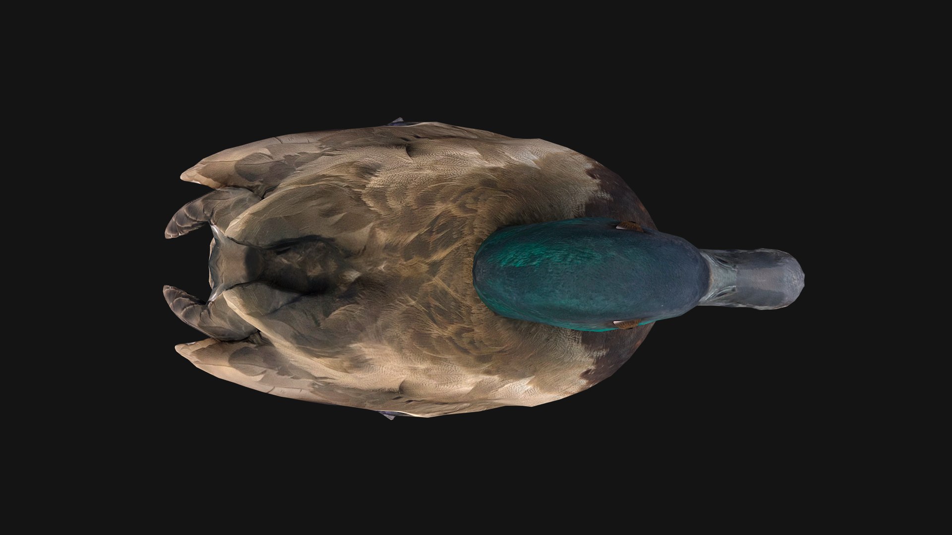 3D Duck Pack https://p.turbosquid.com/ts-thumb/If/MiFnwT/JX/duckstandart11/png/1685006686/1920x1080/fit_q87/ff07f33b77af94aa6c4f0461a70974a6d5911cf3/duckstandart11.jpg