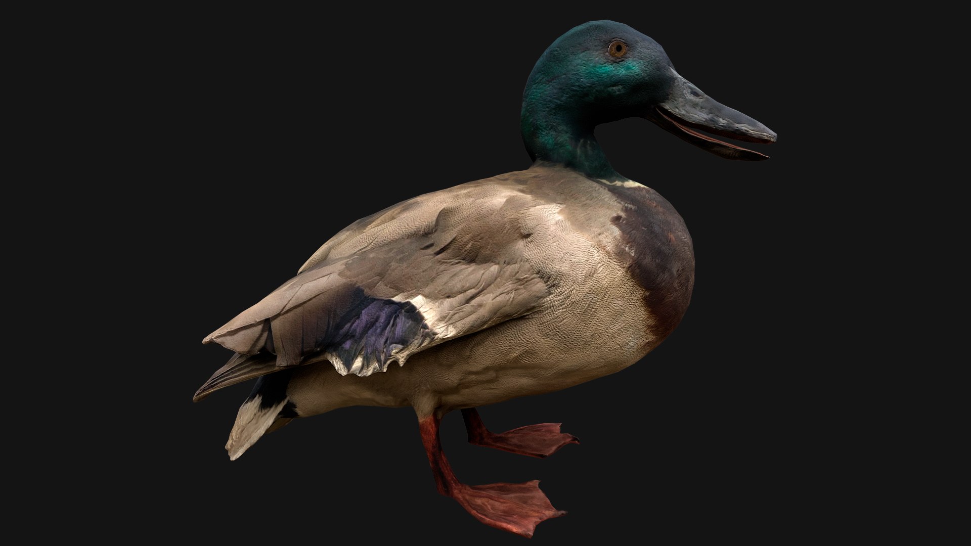 3D Duck Pack https://p.turbosquid.com/ts-thumb/If/MiFnwT/N2/duckstandart7/png/1685006682/1920x1080/fit_q87/464bd6c2e60ed0b0105f4ed899c9c353e092281d/duckstandart7.jpg