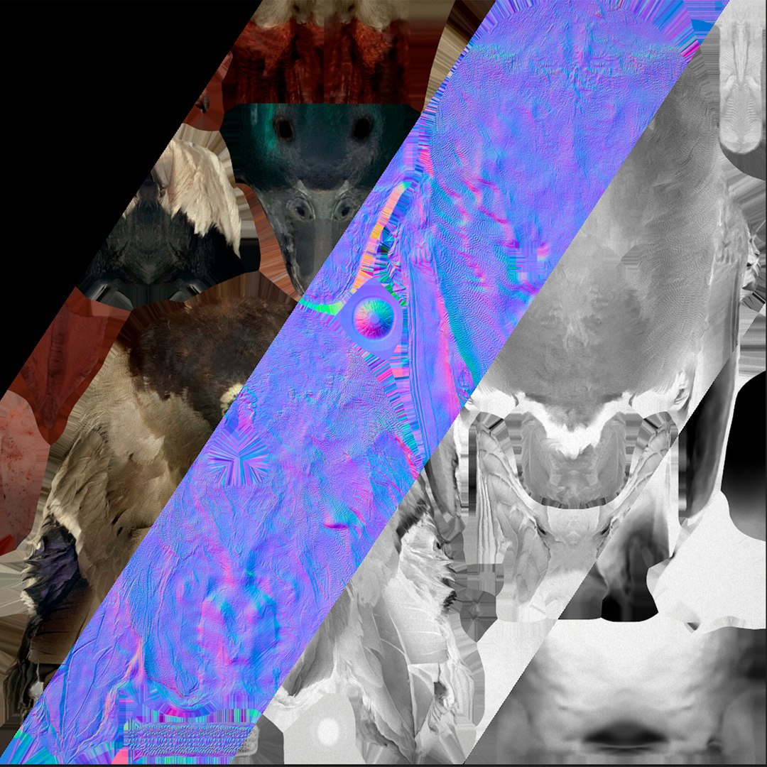 3D Duck Pack https://p.turbosquid.com/ts-thumb/If/MiFnwT/Of/textureduckstandart/png/1685006707/1920x1080/fit_q87/994308cf723b54fe16286e6a4d805dfc9b93b094/textureduckstandart.jpg