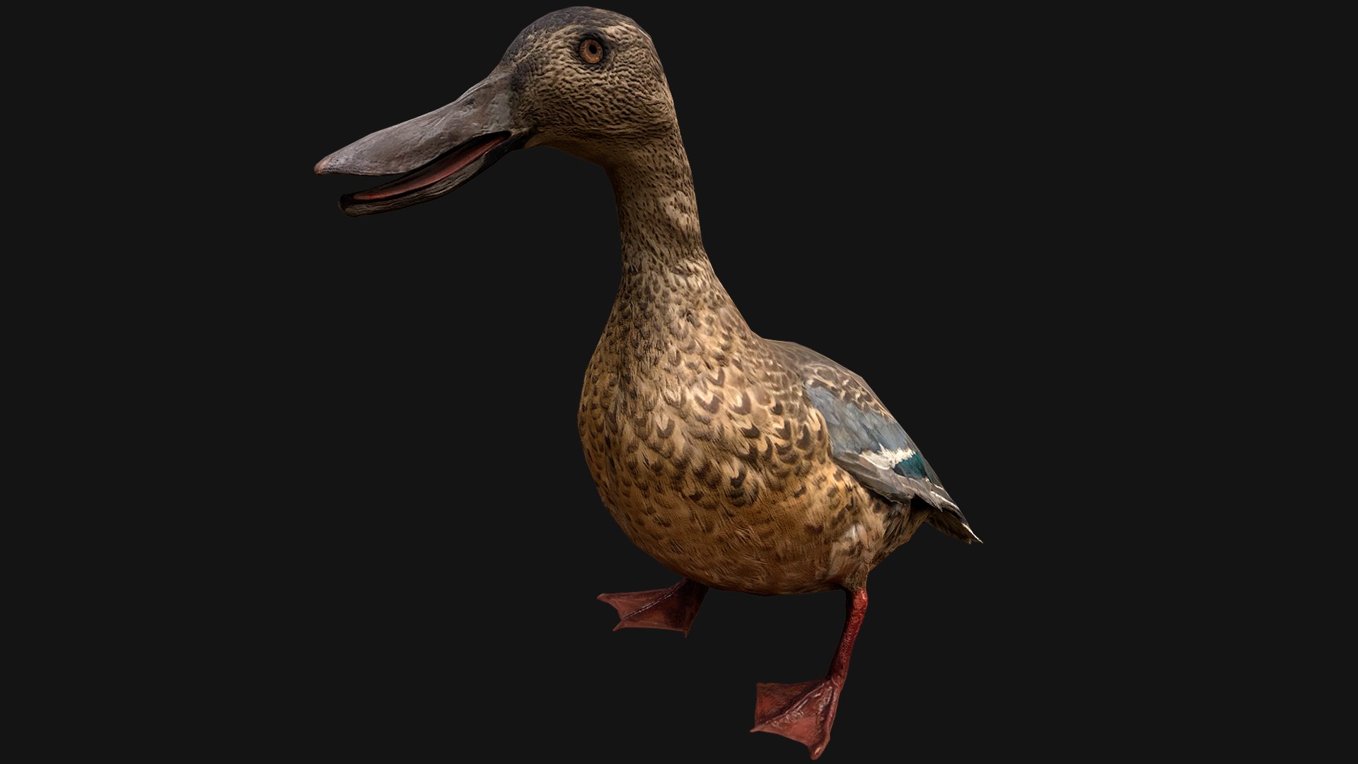 3D Duck Pack https://p.turbosquid.com/ts-thumb/If/MiFnwT/Va/duck2/png/1685006661/1920x1080/fit_q87/b1373030e6b4c9454df0d57598ad2405c71a671f/duck2.jpg
