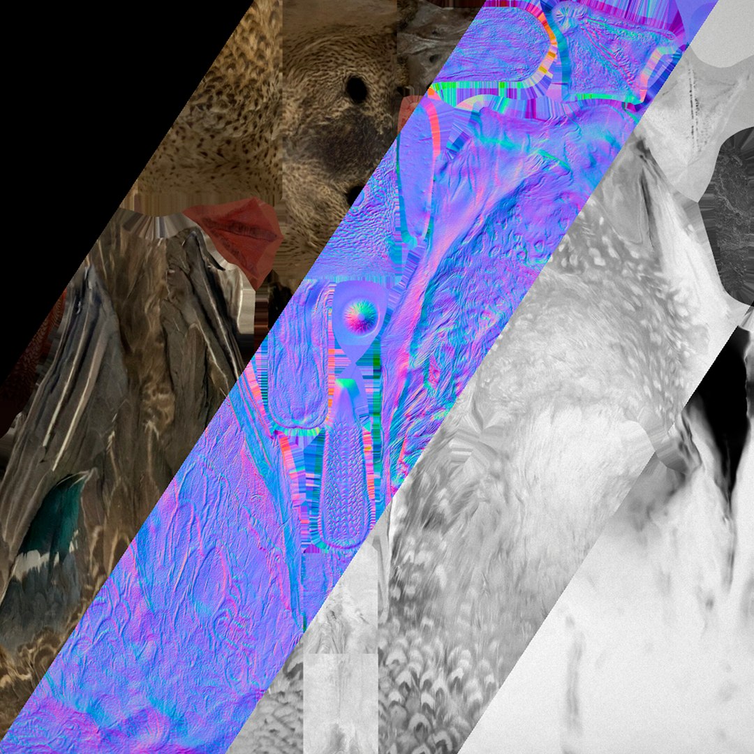 3D Duck Pack https://p.turbosquid.com/ts-thumb/If/MiFnwT/mQ/textureduck/png/1685006707/1920x1080/fit_q87/96160b163e865ad47066ed2d7fd7dc43fb381671/textureduck.jpg