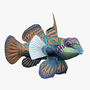 Mandarin fish 3D model