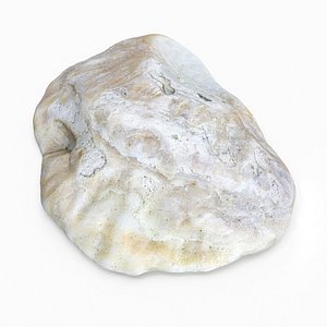 3D oyster shell