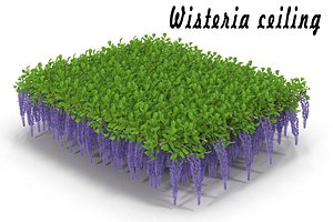 Wisteria ceiling