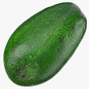 bacon avocado 01 3D model
