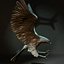 Eagle_statue