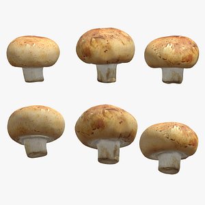 Cremini Mushroom Low Poly 3D