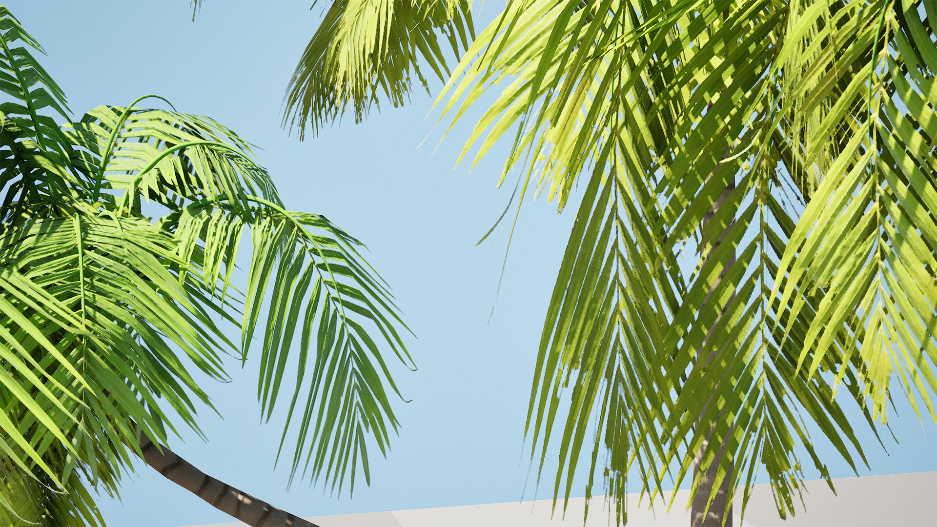 Tropical Palm Trees 3D model https://p.turbosquid.com/ts-thumb/Ig/3sb7aM/O3/highresscreenshot00002/jpg/1722591019/1920x1080/fit_q87/cd9d2e4be8f9032cd7e10e1c2d7482605b368ebd/highresscreenshot00002.jpg