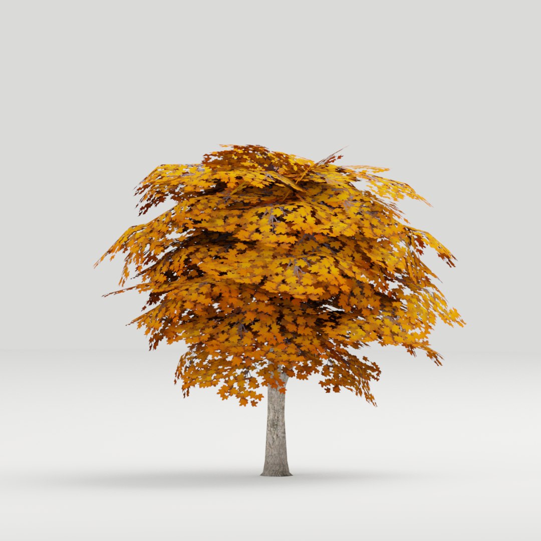 Tree Maple 3D Model - TurboSquid 1423889