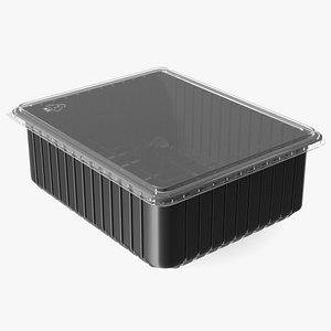 3D Rectangular Plastic Food Tray with Lid 32x26cm model
