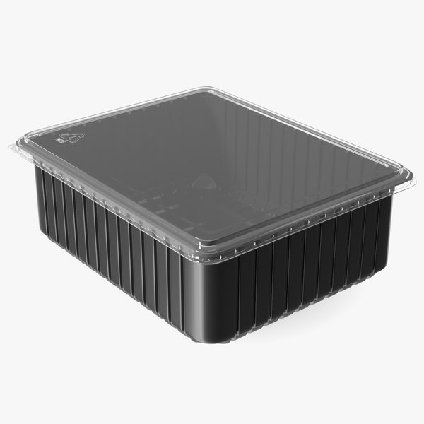 3D Rectangular Plastic Food Tray with Lid 32x26cm model - TurboSquid ...