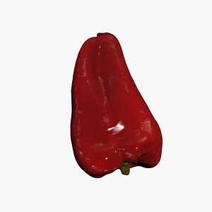 Red Pepper 3D Scan High Quality 3D