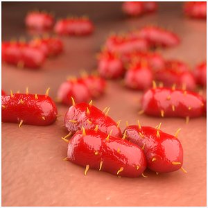 3D Bacterial Meningitis