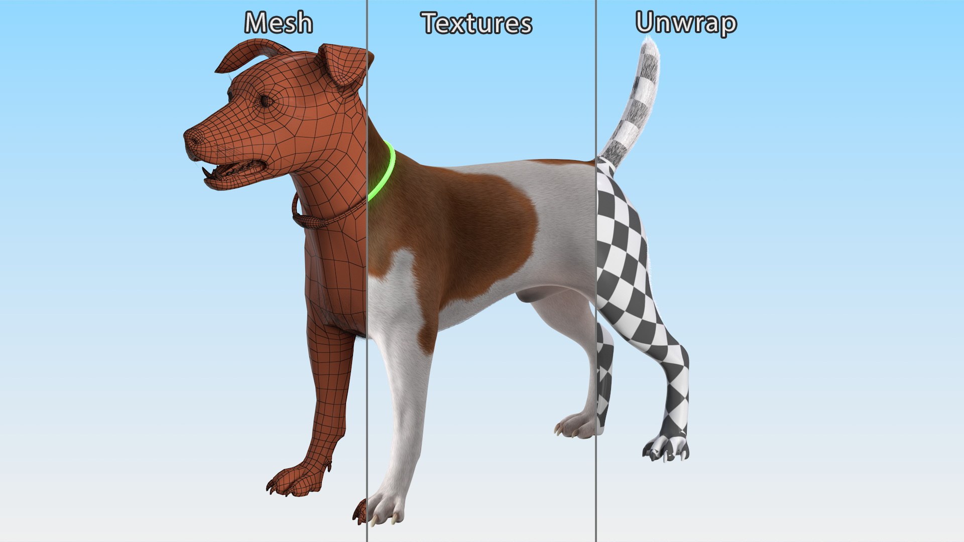 3D Jack Russell Terrier Wearing LED Collar Fur for Maya model https://p.turbosquid.com/ts-thumb/Ig/Ydwckx/9b/jack_russell_terrier_wearing_led_collar_fur_018/jpg/1744299325/1920x1080/fit_q87/87f96383a362622e8e1436875cace8cfdda9a56e/jack_russell_terrier_wearing_led_collar_fur_018.jpg