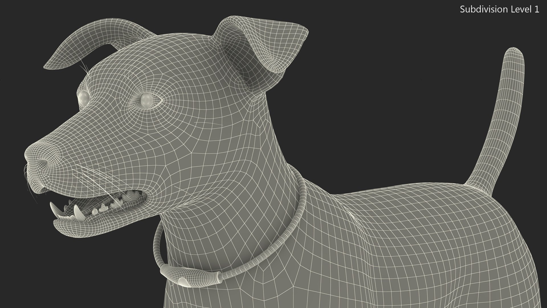 3D Jack Russell Terrier Wearing LED Collar Fur for Maya model https://p.turbosquid.com/ts-thumb/Ig/Ydwckx/MV/jack_russell_terrier_wearing_led_collar_fur_020/jpg/1744299332/1920x1080/fit_q87/7af070f052049d6aa94dab9ee2283314e89ada7c/jack_russell_terrier_wearing_led_collar_fur_020.jpg