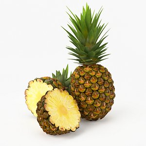 realistic pineapple real fruit max