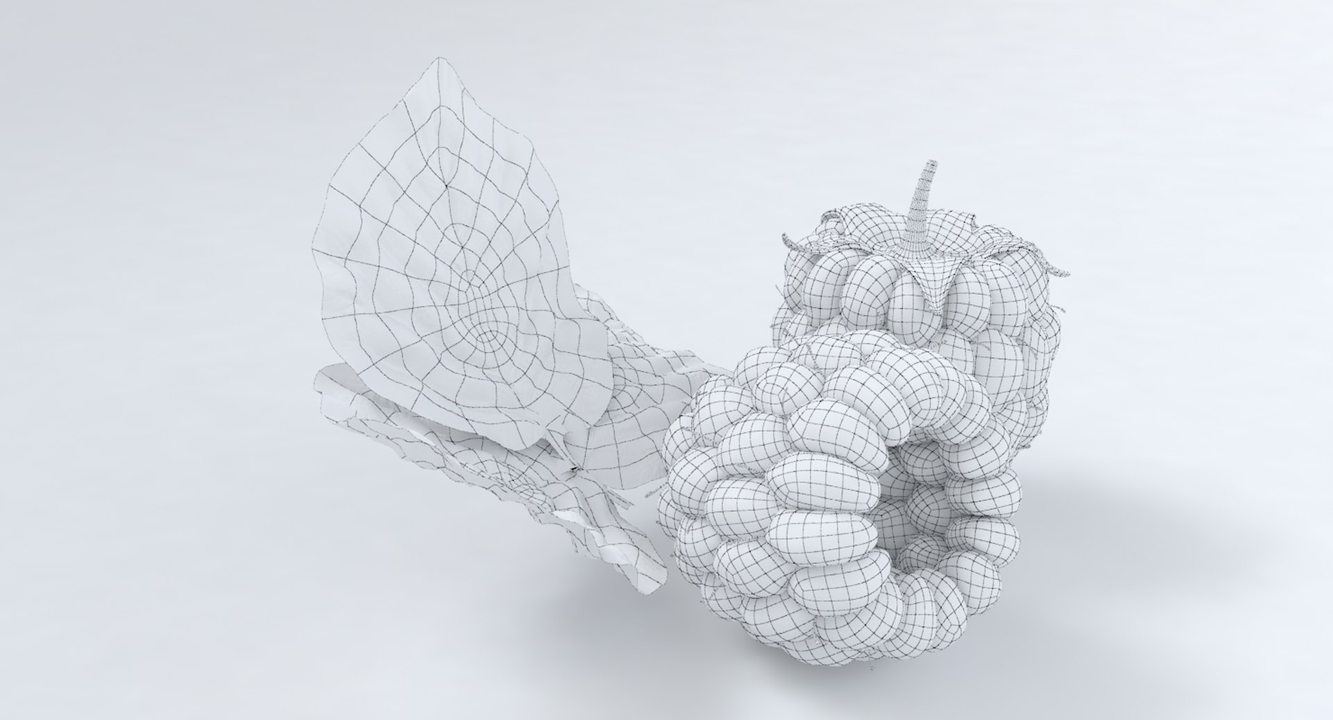 raspberry fruit 3D model https://p.turbosquid.com/ts-thumb/Ig/fUkkvN/Lmy49ajl/render_08/jpg/1520419003/1920x1080/fit_q87/05e73a269474e8763ecdbfa03ea3d014217b37ff/render_08.jpg