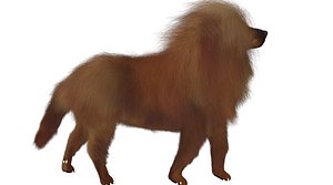 Mastiff tibetdogge  dog 3D model