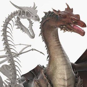 3D model Fantasy Dragon Creature and Skeleton Rigged Collection