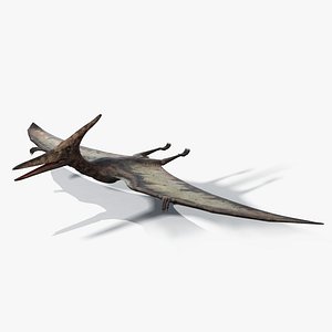 Pteranodon