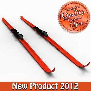 3d cross country ski