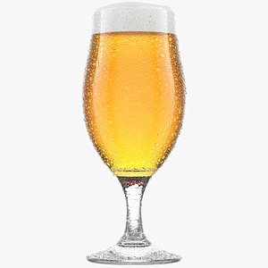 Beer Glass 1 3D model