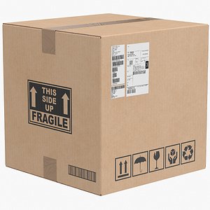Cardboard Box 1 Closed