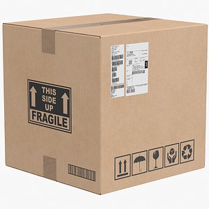 Cardboard Box 1 Closed