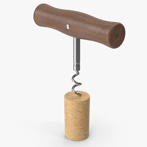 Corkscrew With Cork 3D model
