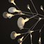 Moooi Heracleum