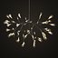 Moooi Heracleum