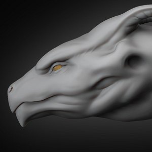 Dragon Head Concept