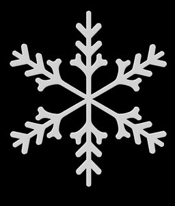 3D snowflake snow