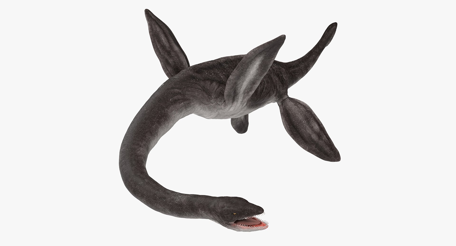 3d model plesiosauria marine reptile dinosaur https://p.turbosquid.com/ts-thumb/Ih/dKuXUE/2c4KZV7l/plesiosauriamarinereptiledinosaurrigged3dsmodel001/jpg/1486618889/1920x1080/fit_q87/edf1674dcdbcaa7ed47e60ff5ea6da31654b6ad1/plesiosauriamarinereptiledinosaurrigged3dsmodel001.jpg