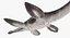 3d model plesiosauria marine reptile dinosaur