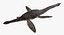 3d model plesiosauria marine reptile dinosaur