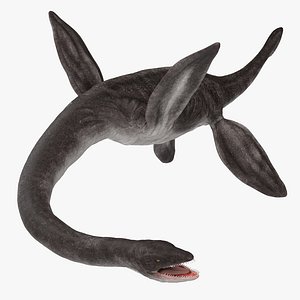Plesiosauria Marine Reptile Dinosaur Rigged