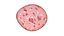 Slice Veal Sausage
