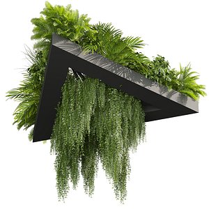3D plant vol 876 - ampelous - hanging - fern