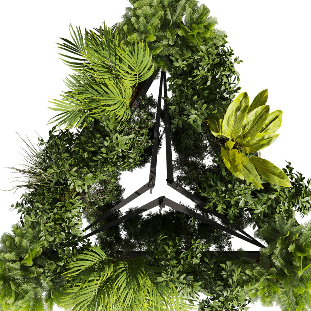 3D plant vol 876 - ampelous - hanging - fern https://p.turbosquid.com/ts-thumb/Ih/gVrSkz/N1/6/jpg/1771761933/1920x1080/fit_q87/6ed404b67b84e99b11285f9338df7a74f45d8352/6.jpg