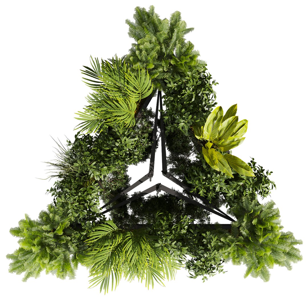 3D plant vol 876 - ampelous - hanging - fern https://p.turbosquid.com/ts-thumb/Ih/gVrSkz/Nx/3/jpg/1771761930/1920x1080/fit_q87/0fedee06f435d26f77694884dd0177b5a33263fd/3.jpg